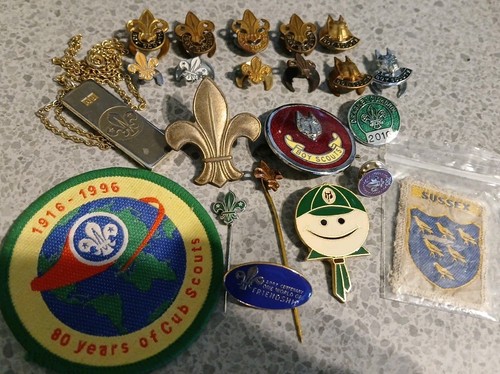Vintage boy scouts - boy, enamel