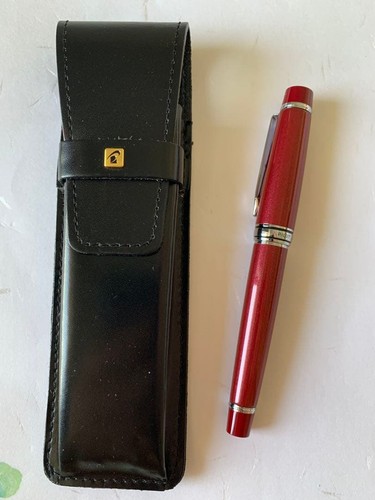 Penna stilografica pilot - stilografica,