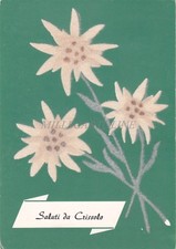 CRISSOLO - Saluti - Fiori in Stoffa 1971