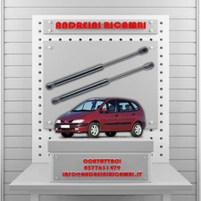 2 MOLLE A GAS BAGAGLIAIO