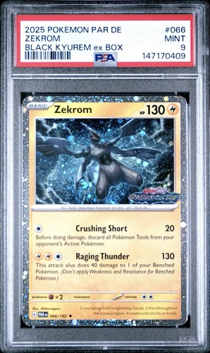 2025 pokemon scarlet violet - 2025,