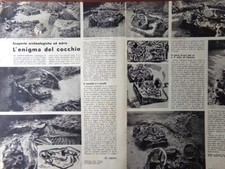 Articolo del 1938 Scoperte archeologiche ad Adria Enigma del Cocchio