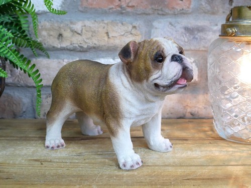 Statua cane cucciolo