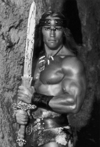 285499 conan barbaro arnold - il,