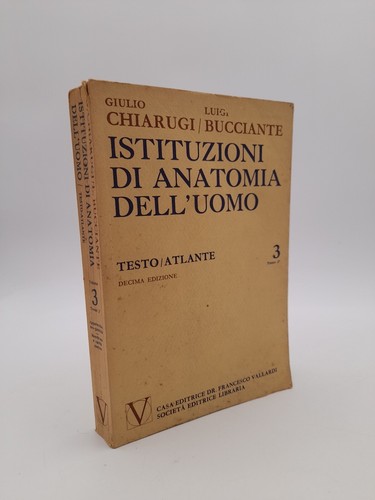 Istituzioni anatomia - istituzioni,