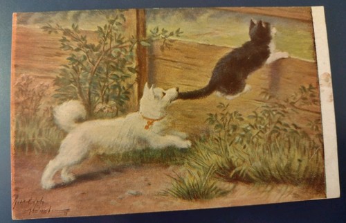 Sperlich artist cat dog - artist,