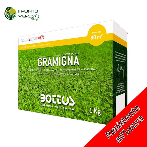 Bottos gramigna seme - 1,