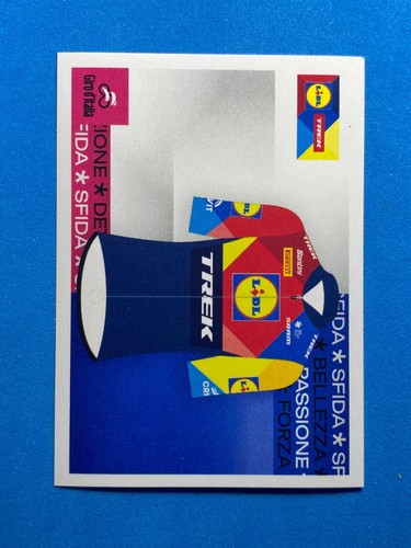 Figurine panini sticker - figurine,