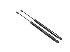 Tailgate Shock Absorber Set Dx