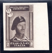 Corpo Polish - Gen. Anders n. 16A marrone nero