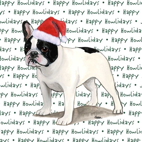 Francese bulldog - francese,