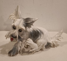 SCULTURA, STATUETTA, CANE SCHNAUZER - CERAMICA - MOLLICA - ANNI '50 CAPODIMONTE