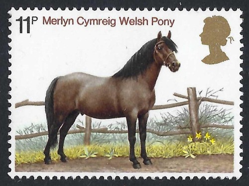 Pony gallese francobollo - gallese,