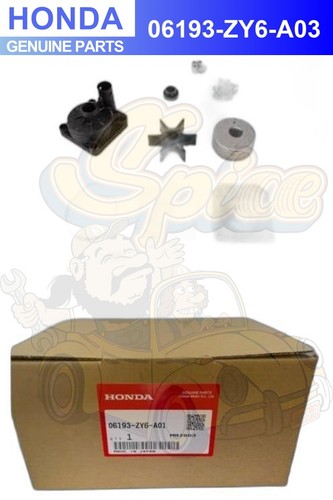 Kit pompa acqua fuoribordo