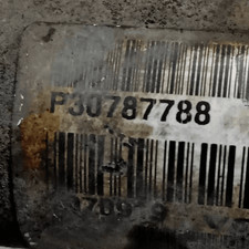 36001181 Semialbero ant