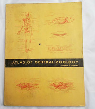 Vintage atlas general - vintage, of