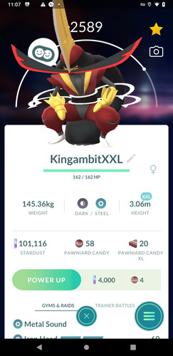 Kingambit xxl - xxl, |
