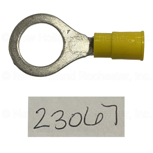 Parte terminale anello