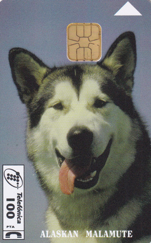 Spain phone card - , 1995