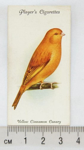1933 john player sons aviary - john, &
