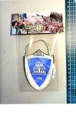 scudetto gagliardetto legno