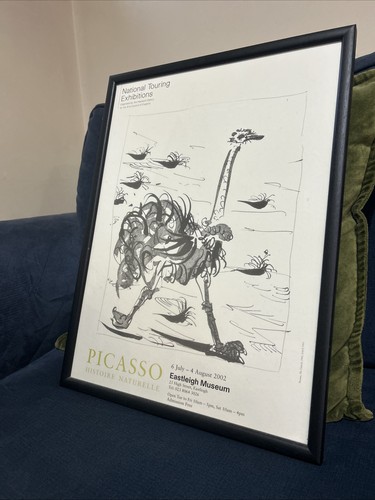 Picasso struzzo histoire - struzzo,,