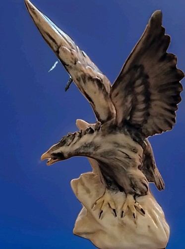 Ceramica cacciapuoti - ceramica,
