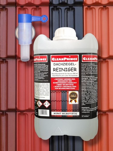 Detergente concentrato per