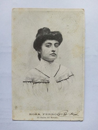 Rosa ferro pia iii regina - rosa,