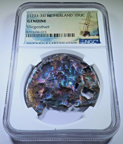Ngc vliegenthart naufragio - vliegenthart,
