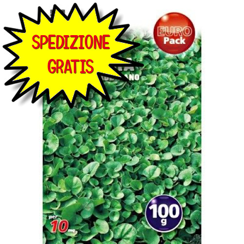 Sgaravatti dichondra bustina - sgaravatti,
