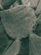 Still life print, home wall