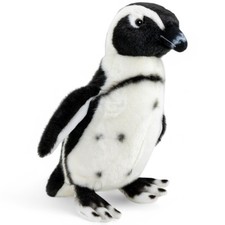 Pinguino Carl Dick, pinguino