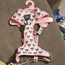 Sassy Woof Disney Minnie Mouse
