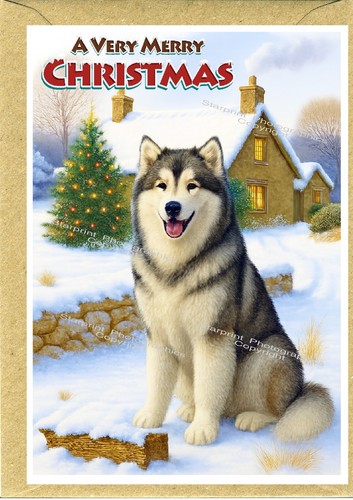Alaskan malamute dog christmas - alaskan,