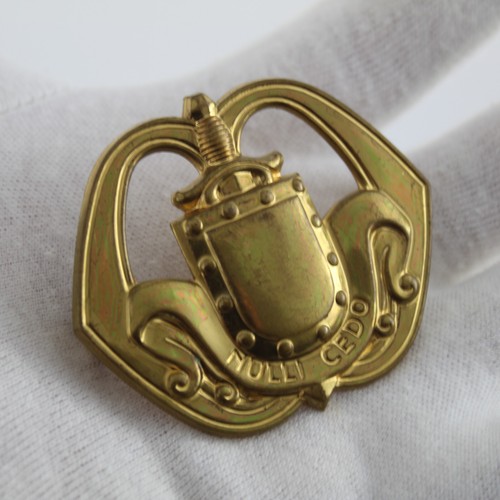 Distintivo berretto militare - distintivo,