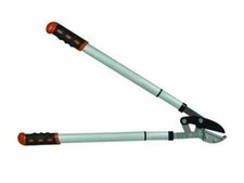 IL CAMPO TRONCARAMI  TAGLIO