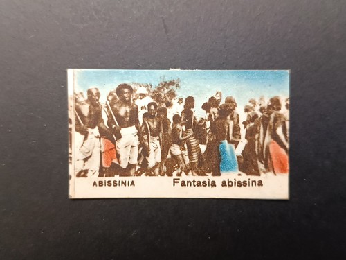 Figurina abissinia fantasia - figurina,