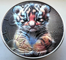 Adorabile cucciolo di tigre -