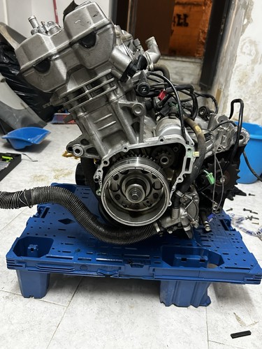 Blocco motore honda - blocco, hornet900