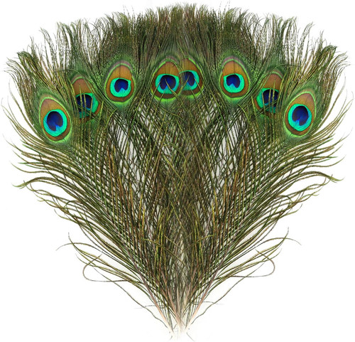 Pezzi naturali piume di - pezzi,
