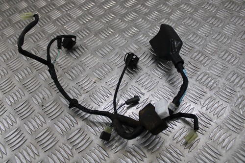 Cablaggio telaio faro speedo