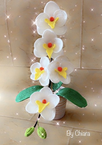 Orchidea uncinetto - orchidea,
