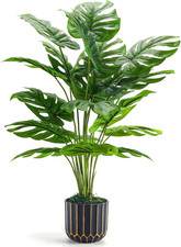 Piante Finte Alte Di Monstera