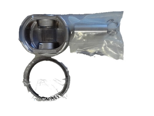 Kubota 1g774 21674 piston - 1g774-21674, kit