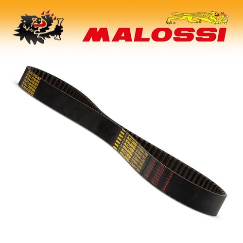 6119661 malossi cinghia - 6119661, [malossi]