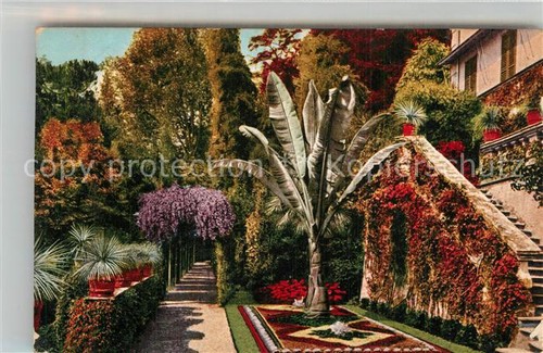Cadenabbia lago como - lago,