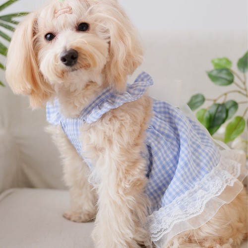 Vestito estivo per cani ruffle - vestito,