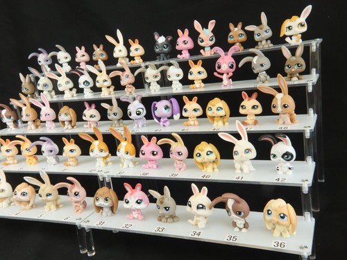 Conigli lepri lps littlest - e,