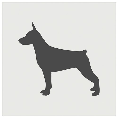 Miniatura pinscher min - pinscher,